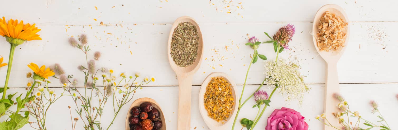 Sequence of flowers and wooden spoons composed of medicinal herbs. The continuation starts with sunflower foliage.